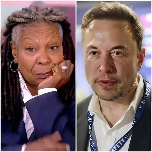 Elon Musk is making a bold move: he is launching a public campaign to shut down “The View” and is gathering support to end the controversial show once and for all.